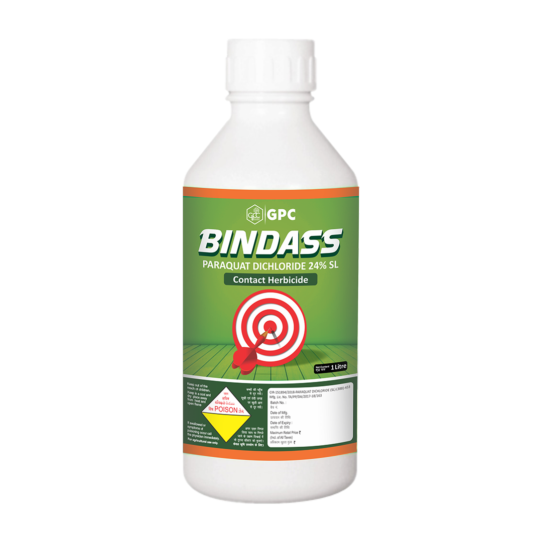 BINDASS